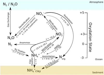 The Nitrogen Cycle in an Epeiric Sea in the Core of Gondwana Supercontinent: A Study on the Ediacaran-Cambrian Bambuí Group, East-central Brazil